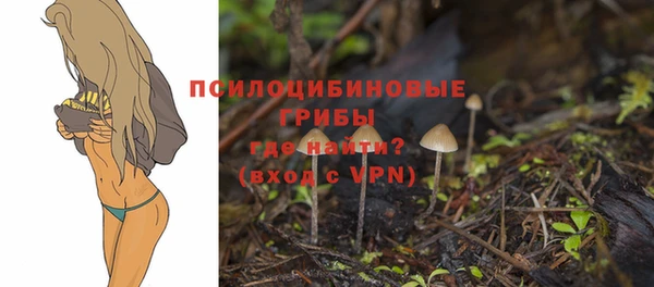 ECSTASY Новозыбков