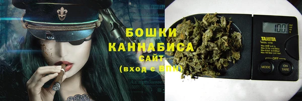 ГАЛЛЮЦИНОГЕННЫЕ ГРИБЫ Новодвинск