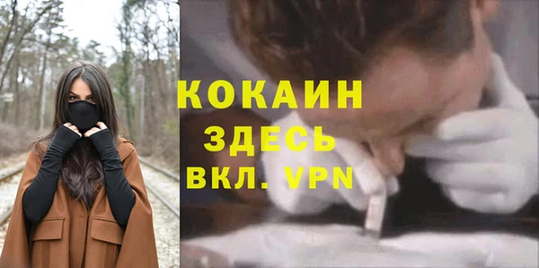 ГАЛЛЮЦИНОГЕННЫЕ ГРИБЫ Новодвинск