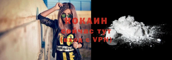 ГАЛЛЮЦИНОГЕННЫЕ ГРИБЫ Новодвинск
