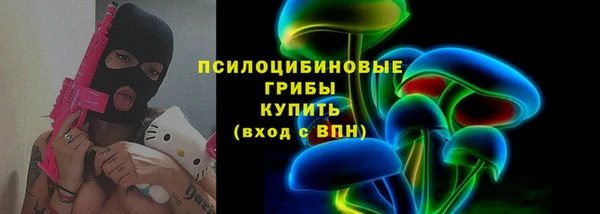 ГАЛЛЮЦИНОГЕННЫЕ ГРИБЫ Новодвинск