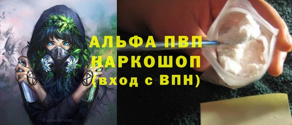 ECSTASY Новозыбков