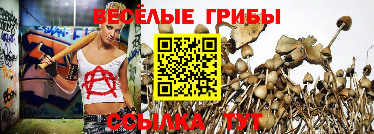 Лабытнанги  Псилоцибиновые грибы GOLDEN TEACHER  Вход с VPN 
